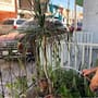 Cajemenses consumen hasta 60% más agua de la recomendada: Oomapasc