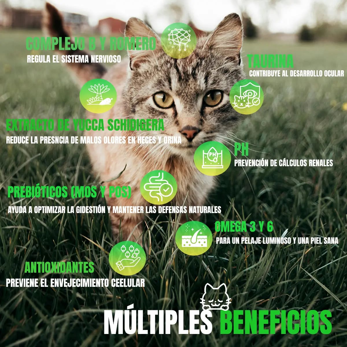 Paquete de dos costales de croquetas para gato de la marca Nupec | Mercado Libre