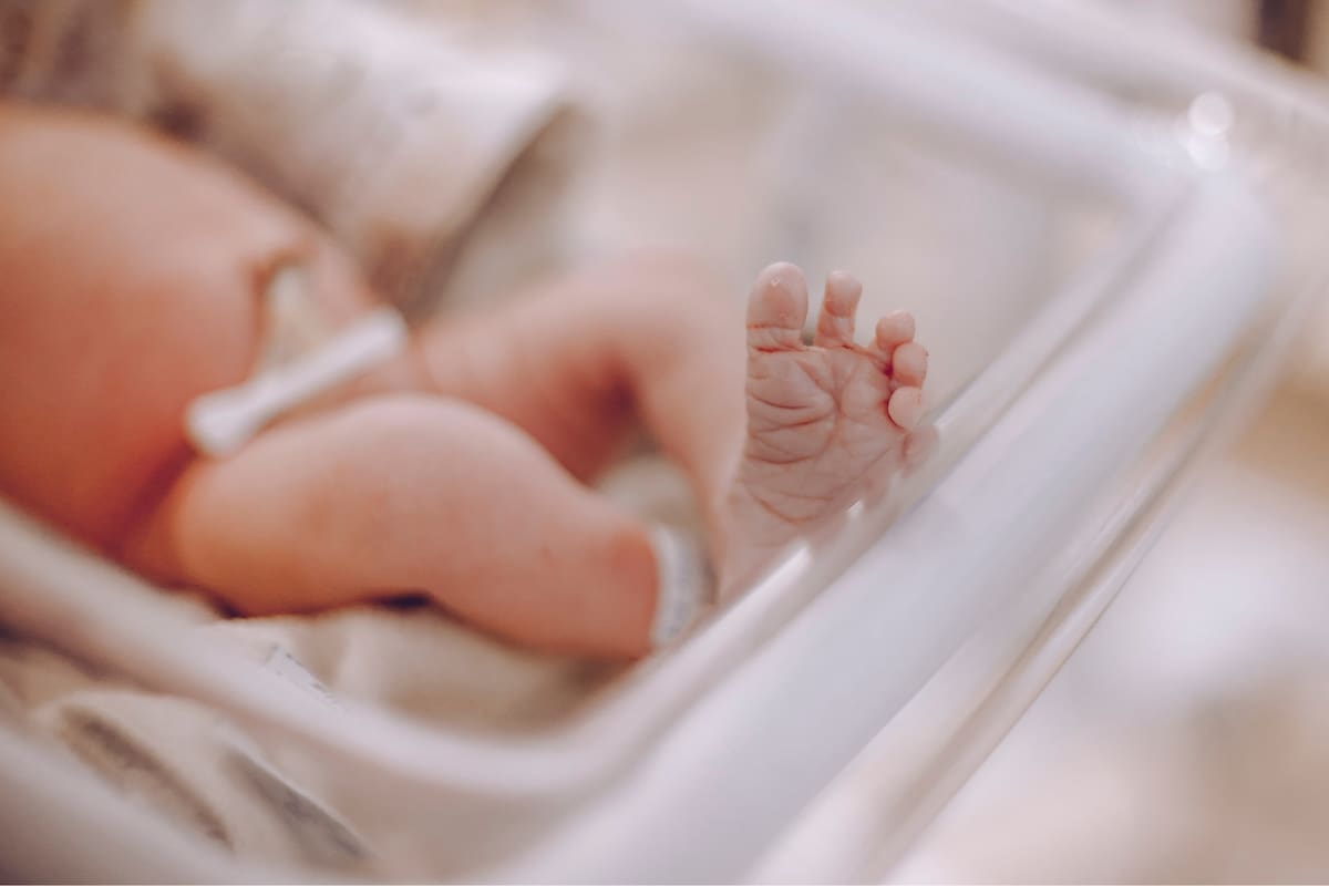 Abandonan a recién nacido en bote de basura dentro de universidad en Ecatepec y muere horas después tras intento por salvarlo