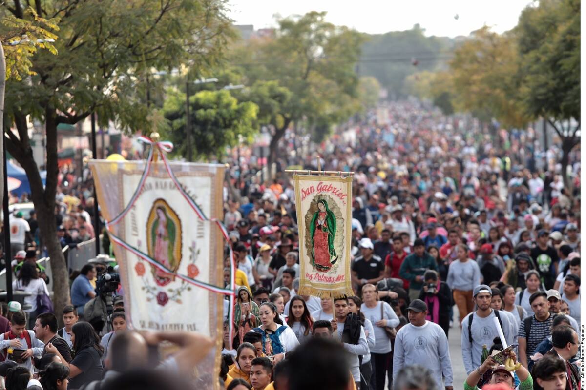 Devoción a la Virgen de Guadalupe reúne a más de 7.5 millones de peregrinos