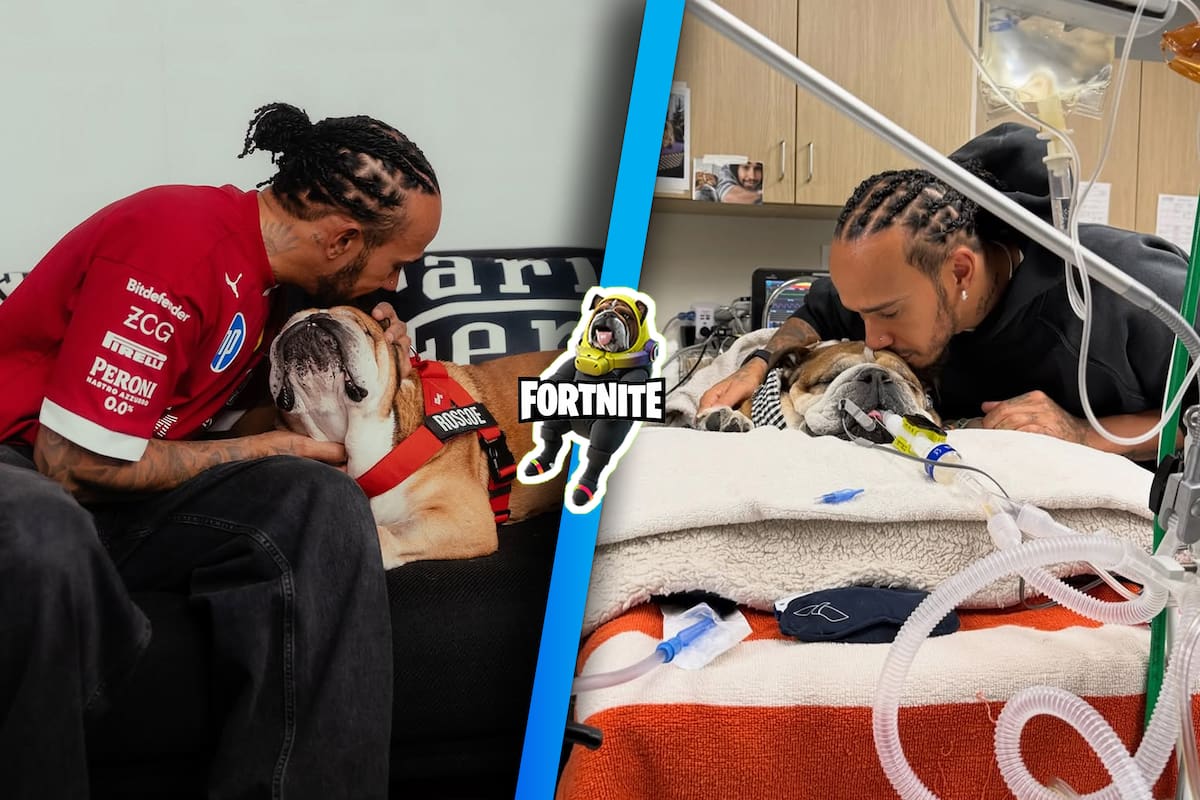 ¿De qué murió Roscoe, el famoso perro influencer de Lewis Hamilton que aparecía en Fortnite?