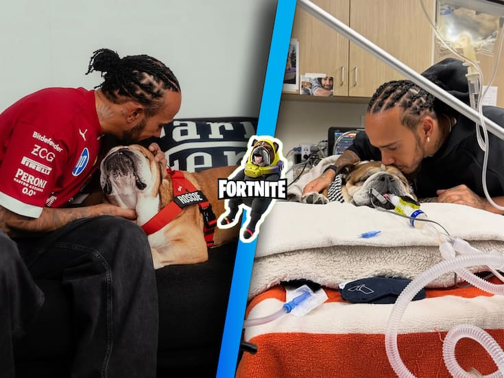 ¿De qué murió Roscoe, el famoso perro influencer de Lewis Hamilton que aparecía en Fortnite?