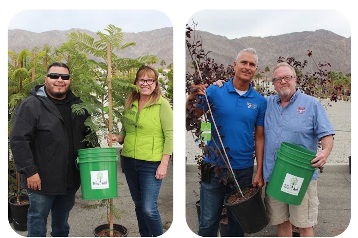 ¿Quieres un árbol gratis? IID abrirá registro para plantarlo en tu casa