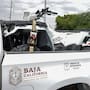 Valle de la Muerte: hallan casi 30 casquillos percutidos en el cementerio clandestino de la Miguel Alemán