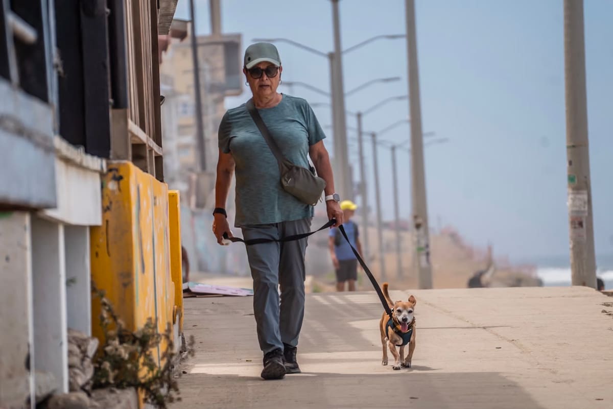 Dueños destacaron que los paseos fortalecen el vínculo con sus mascotas y favorecen su salud física y emocional, además de promover una tenencia responsable. Foto: Border Zoom.
