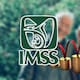 Pensión IMSS Ley 73: cuánto aumenta si te jubilas a los 60, 63 o 65 años