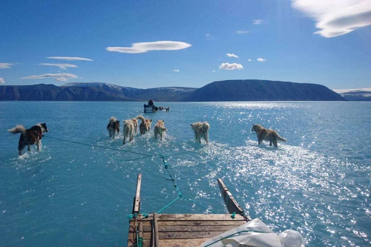 Fotografía muestra derretimiento del hielo marino en Groenlandia