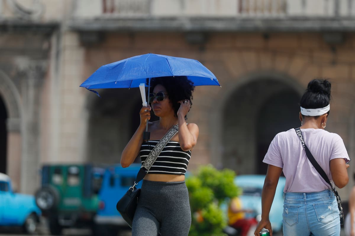Reportan al menos 48 muertes debido a la ola de calor en México