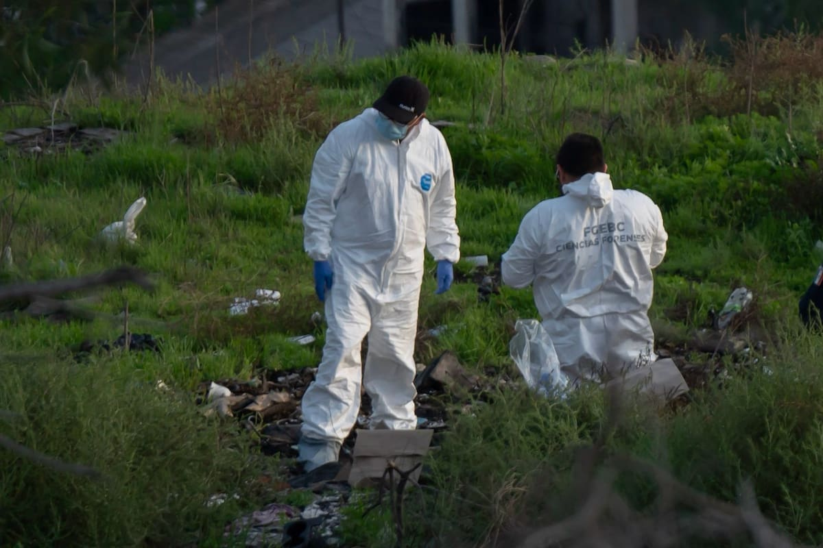 Localizan restos de perrita víctima de presunto maltrato animal en Tijuana