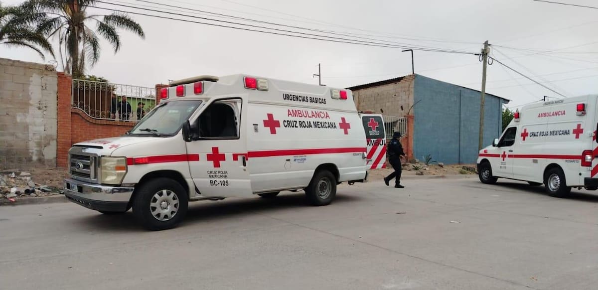 Foto: Carmen Gutiérrez