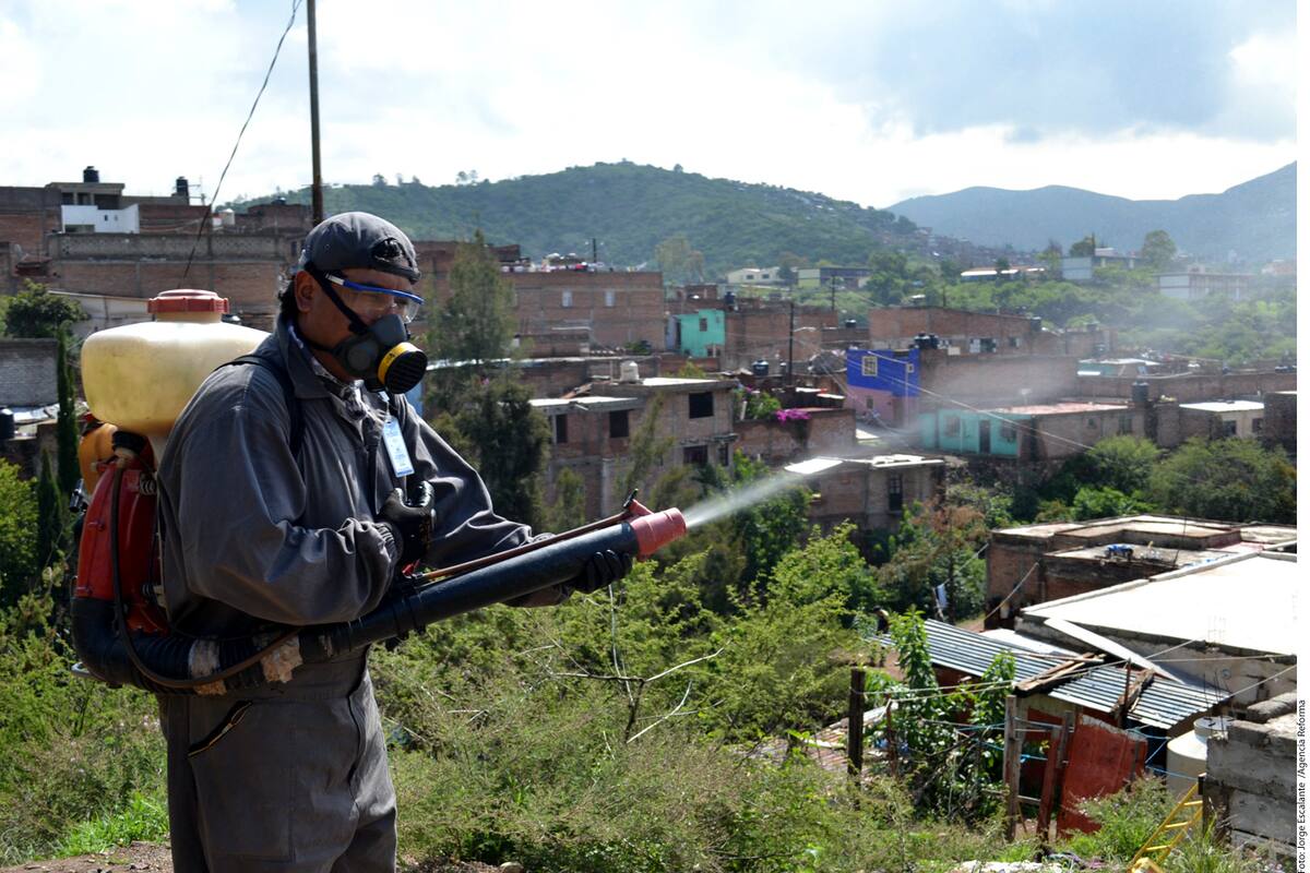 La sequía reduce en un 50% el trabajo de empresas de fumigación: Exterminadores