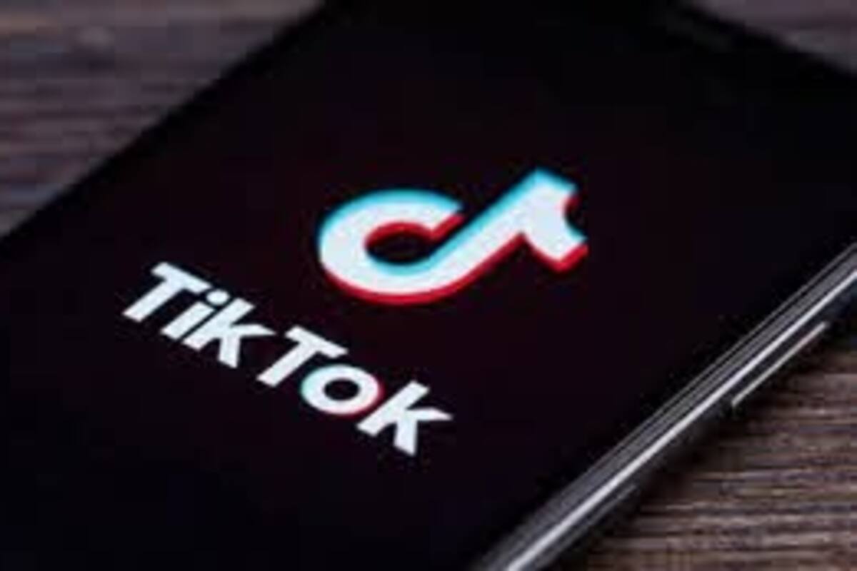 Estos son los videos más populares en TikTok del 2020