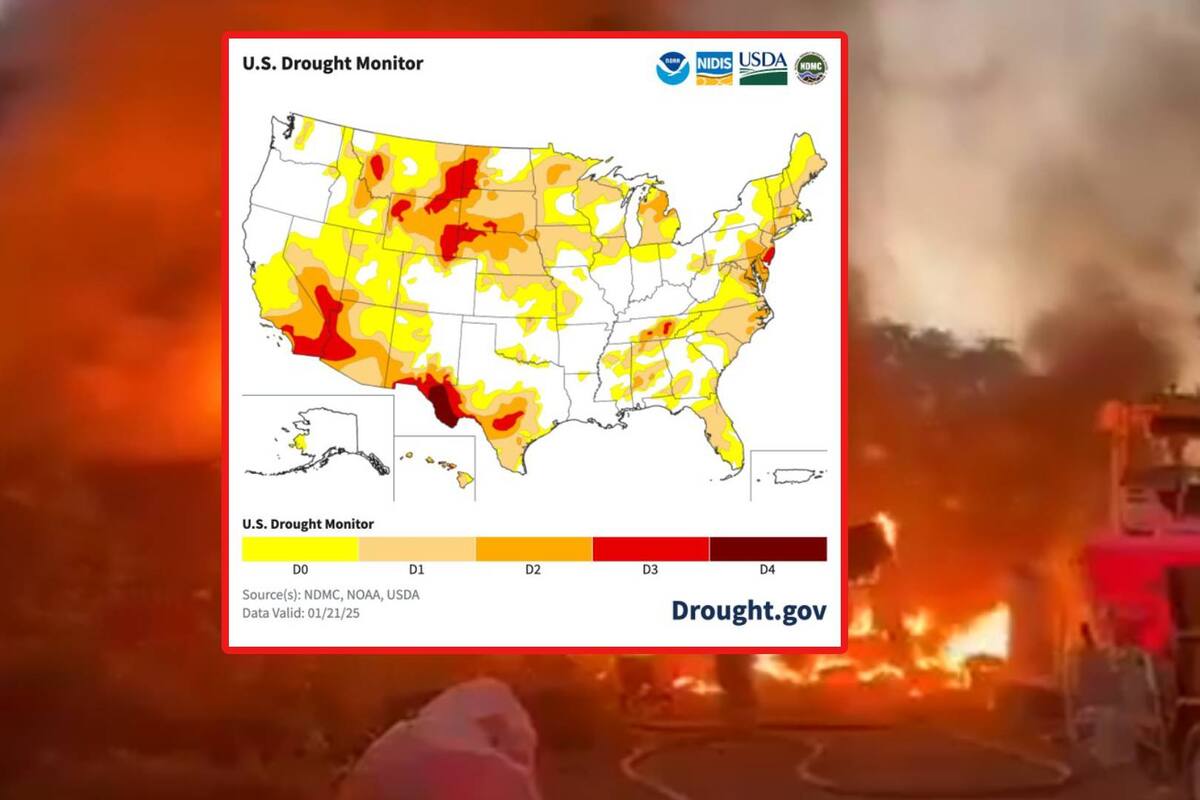 Incendio en Los Ángeles: Expertos advierten que  sequía empeora al sur de California