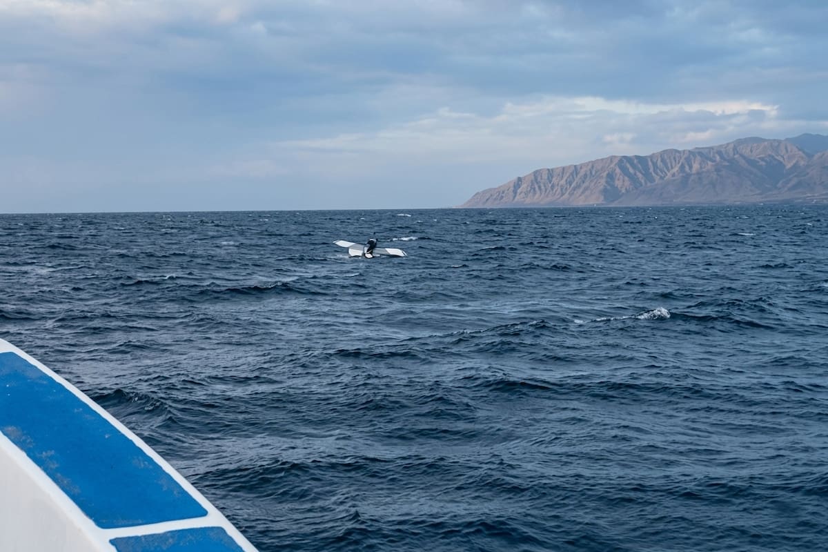 Pescadores rescatan a niña que estaba sola a más de un kilómetro de la costa en La Paz