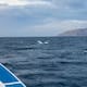 Pescadores rescatan a niña sola en el mar en La Paz