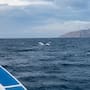 Pescadores rescatan a niña que estaba sola a más de un kilómetro de la costa en La Paz