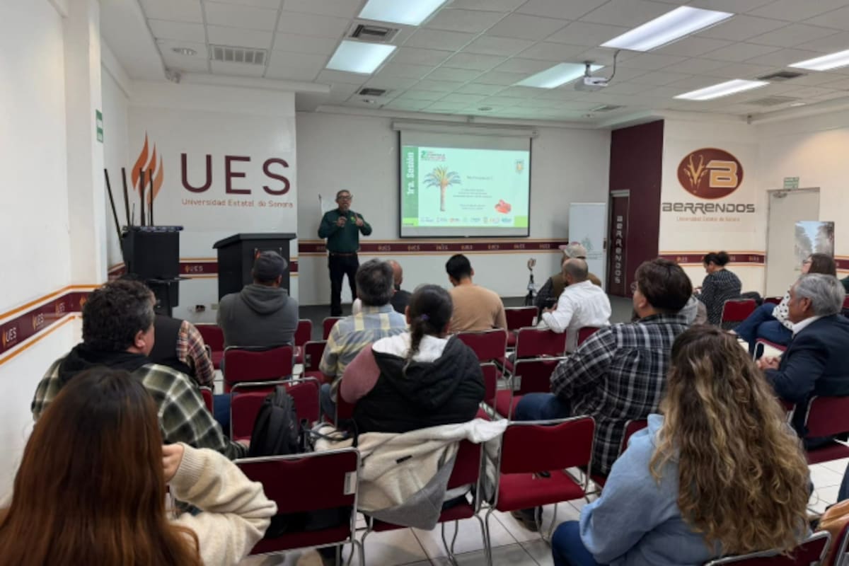 Realizan en SLRC curso Internacional de Capacitación en Palma Datilera