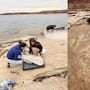 Un niño encontró huellas fósiles en las orillas de un lago y el hallazgo permitió descubrir rastros de aves y grandes saurópodos de la Patagonia del Cretácico que ahora serán estudiados y preservados