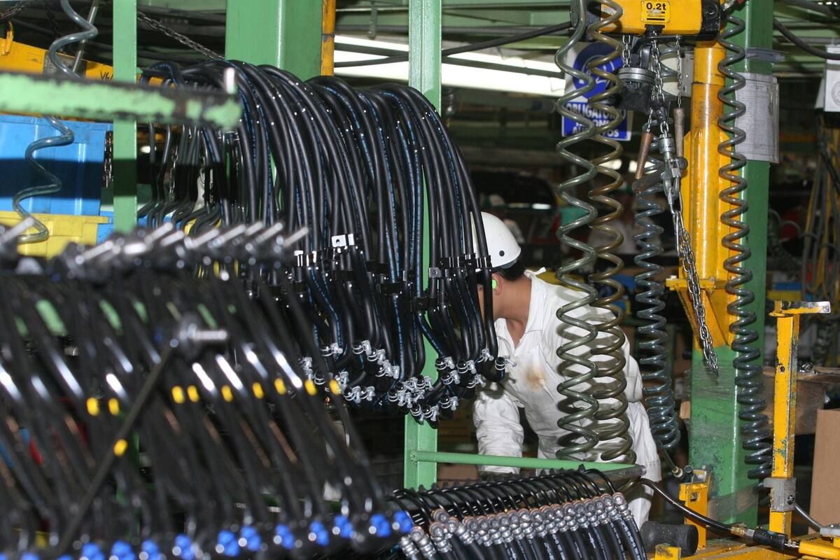 Van empresarios por automatización ante reducción de jornada laboral de 48 a 40 horas