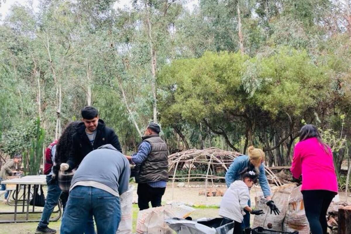 Busca Simpatt reforzar reforestación de escuelas