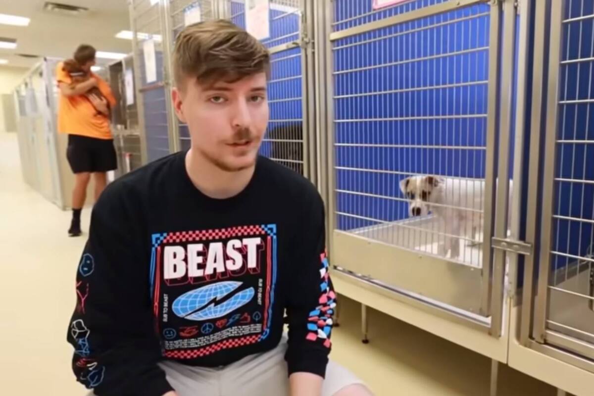 De las calles a un hogar amoroso: así fue la historia de adopción de todo un refugio de perrito