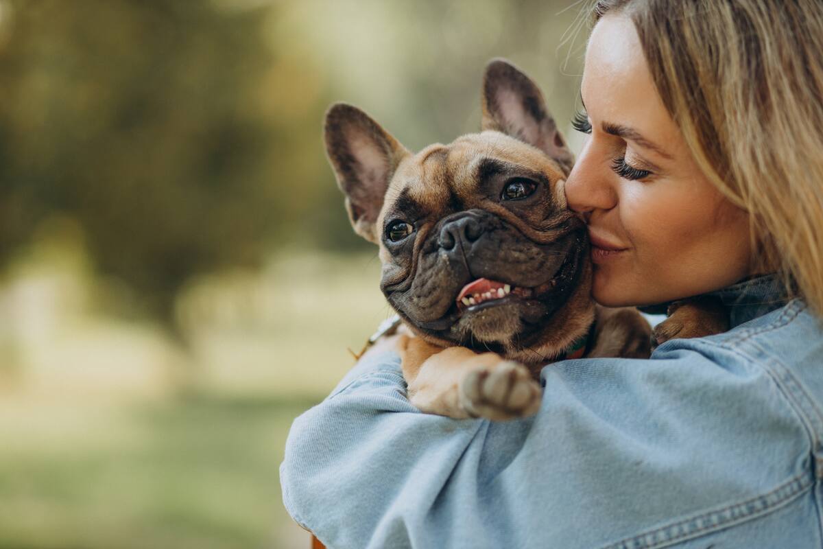 Ahora tu mascota necesitará CURP: ¿Por qué se tomó esta medida y cómo afecta a las mascotas?