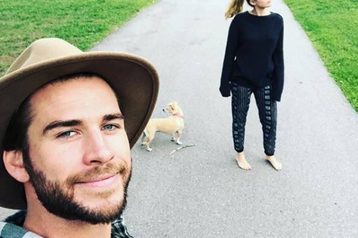 ¿Quién se queda con el perro?, Miley y Liam ya lo decidieron