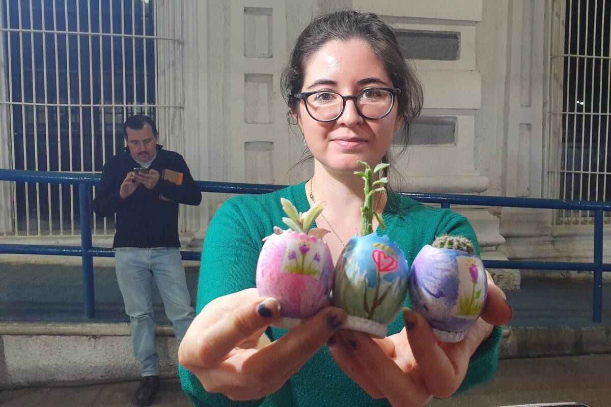 Siembra plantas en cáscaras de huevo