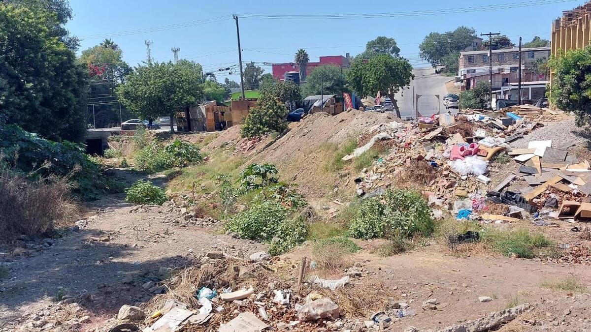 Foto: Carmen Gutiérrez