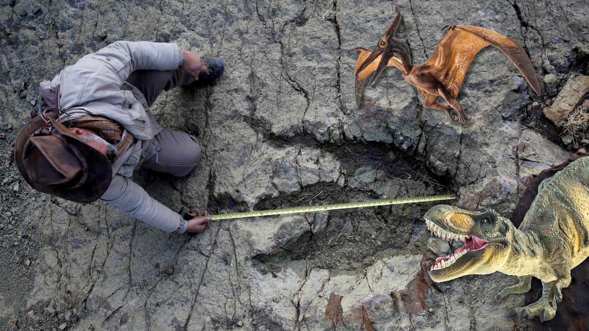 Inteligencia artificial analiza casi 2 mil huellas fósiles y logra identificar qué tipo de dinosaurio las dejó, revela estudio