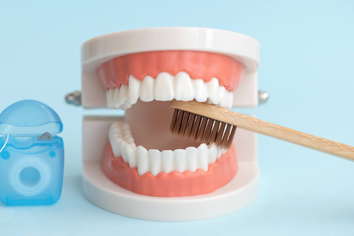 ¿Por qué se forma el sarro en los dientes y cómo evitarlo?