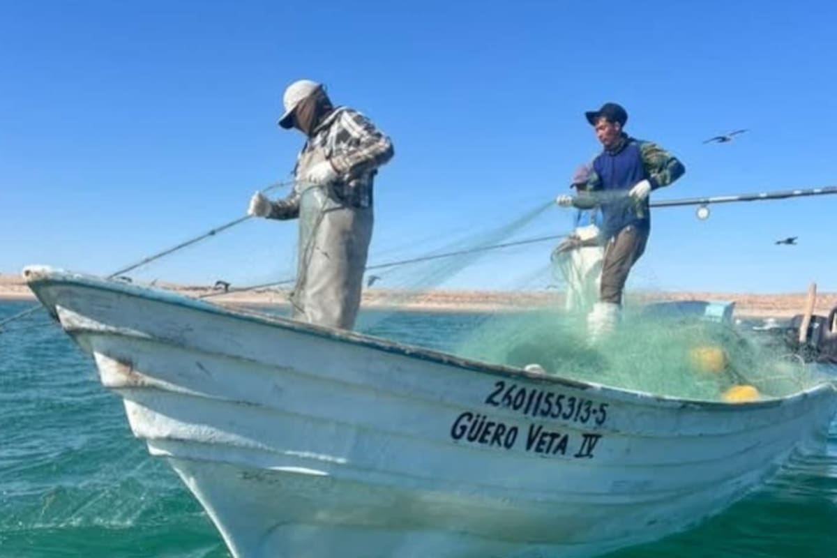 Van a “días muy calientes” en el sector pesquero; esperan respuesta del gobernador y del Gobierno Federal