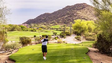 Golf en Tucson: los mejores campos y experiencias para amantes del deporte en Arizona