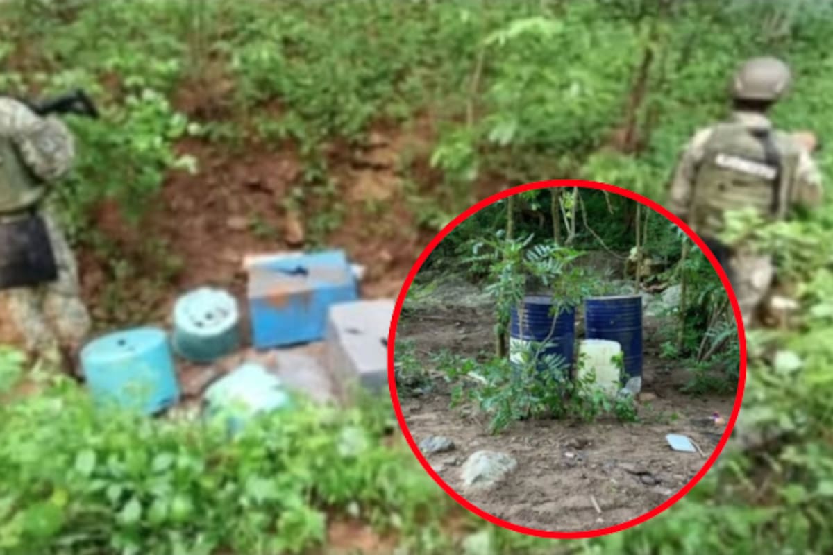 Hallan y destruyen dos centros clandestinos con químicos peligrosos en plena sierra de Cosalá