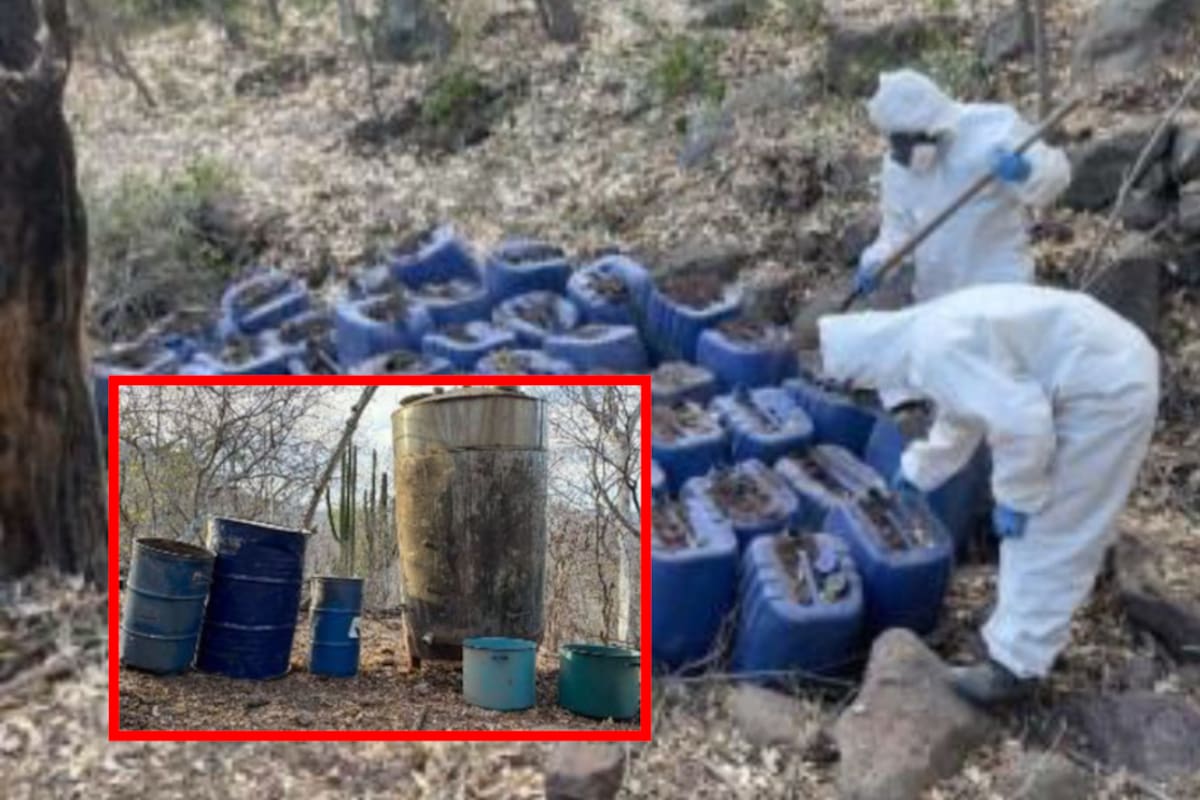 Desmantelan 11 laboratorios clandestinos en Culiacán y Cosalá