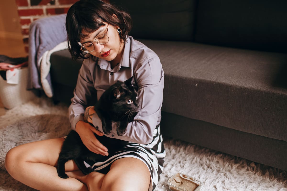 Gatos de apoyo emocional: los beneficios que sí respalda la ciencia