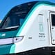 Tren Maya respalda daños ambientales por 1,404 mdp