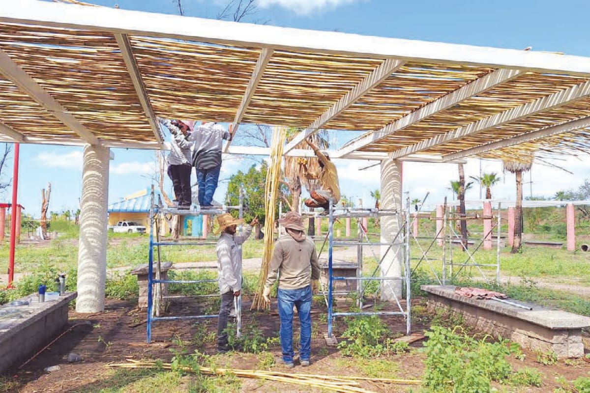 Segunda etapa de La Sauceda incorpora diseño sustentable con palapas de carrizo