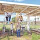 Segunda etapa de La Sauceda incorpora diseño sustentable con palapas de carrizo