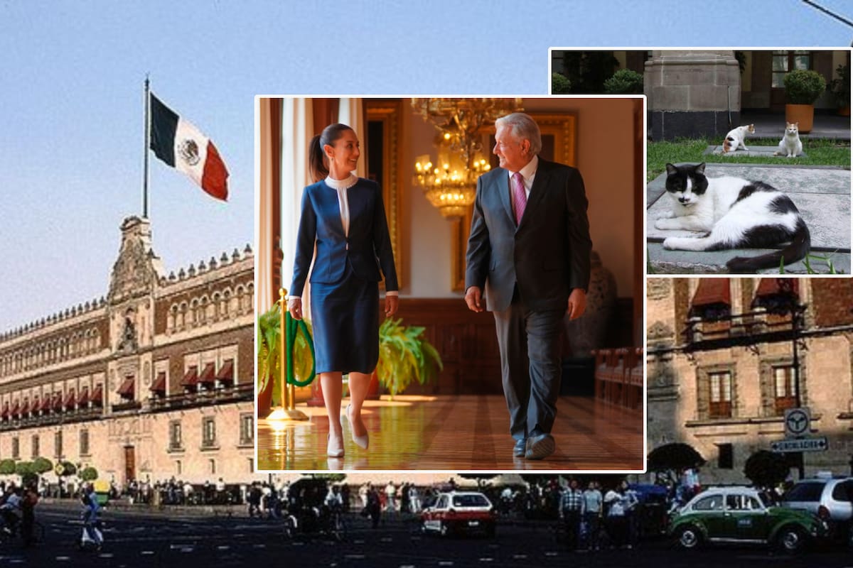 ¿Qué era el Palacio Nacional antes de que vivieran presidentes como AMLO y Sheinbaum en él?