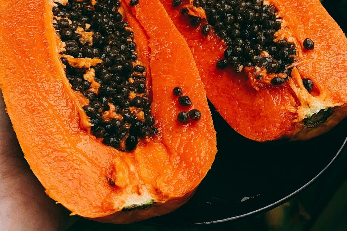 Si no eres fan de la papaya, existen formas fáciles y deliciosas de incorporarla a tu dieta diaria; te decimos cómo