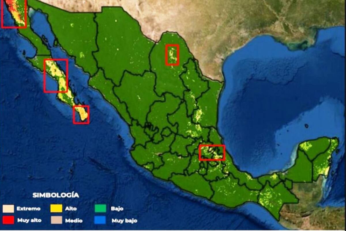 Alerta Protección Civil por posibles incendios forestales en Baja California