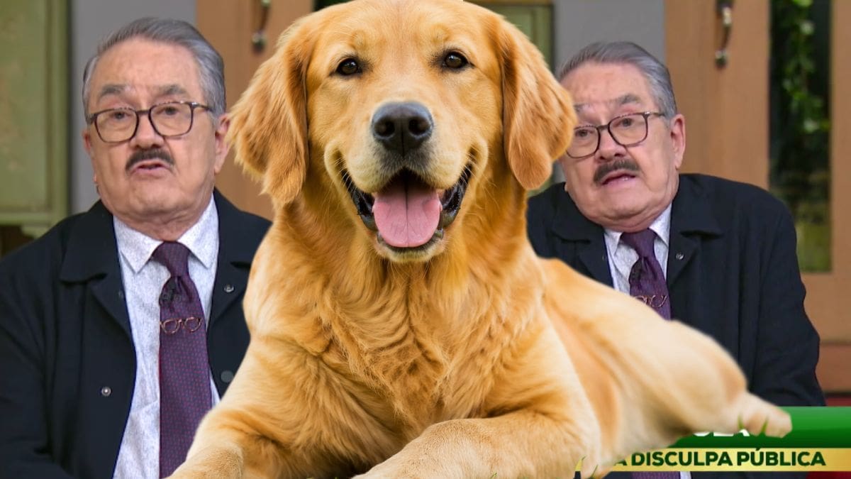 Los comentarios de Pedro Sola reavivaron el debate sobre la presencia de mascotas en espacios públicos y el respeto hacia los animales.
