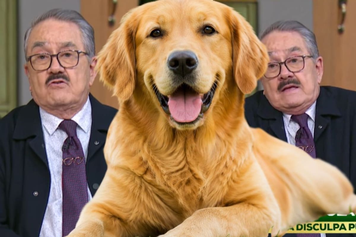 Pedro Sola se disculpa tras desatar indignación por hablar de “carne envenenada” para perros