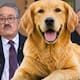 Pedro Sola se disculpa tras desatar indignación por hablar de “carne envenenada” para perros