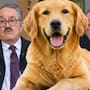 Pedro Sola se disculpa tras desatar indignación por hablar de “carne envenenada” para perros