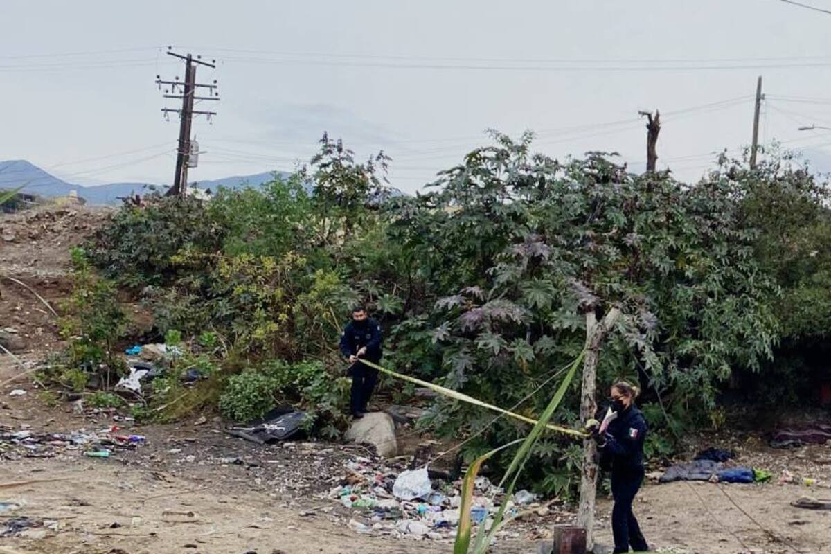 Localizan cuerpo sin vida en la Colonia 2 de Septiembre, Ensenada
