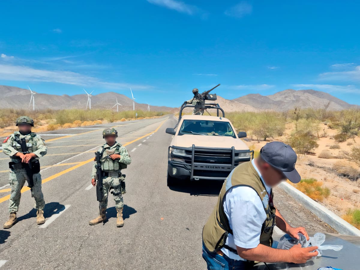 La persona que los transportaba no presentó la autorización expedida por la Secretaría de Medio Ambiente y Recursos Naturales (Semarnat).│Foto: Cortesía Profepa