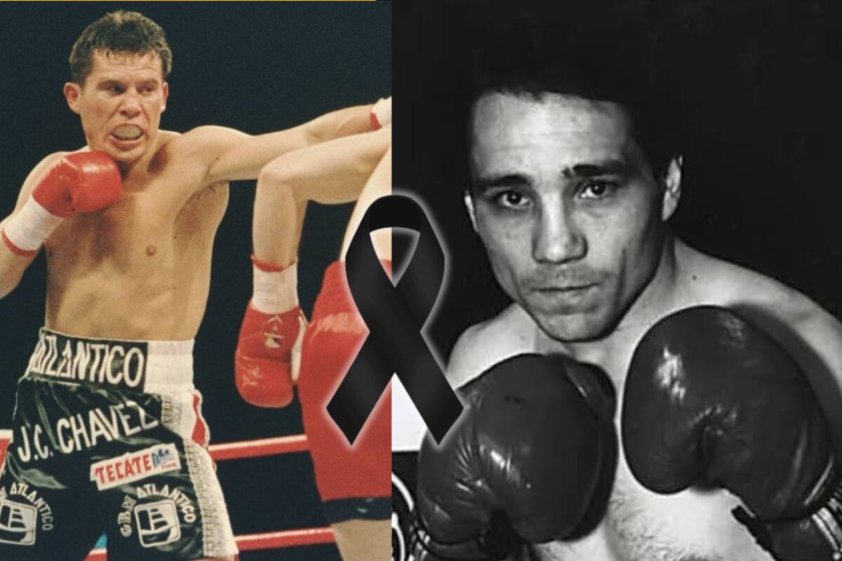 Muere Greg Haugen, exboxeador que peleó y llenó el Estadio Azteca frente a Julio César Chávez