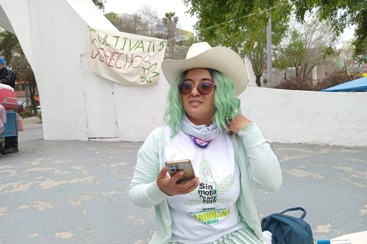 Buscan que marihuana sea legalizada